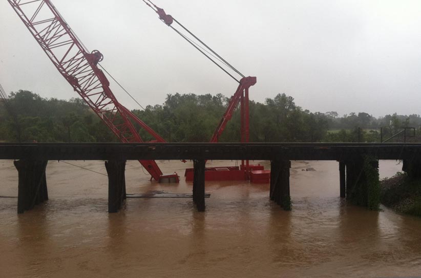 Crane_Underwater.jpg